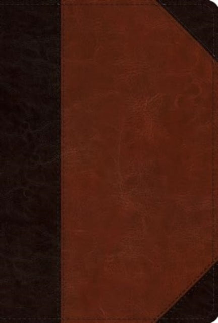 ESV Men's Study Bible