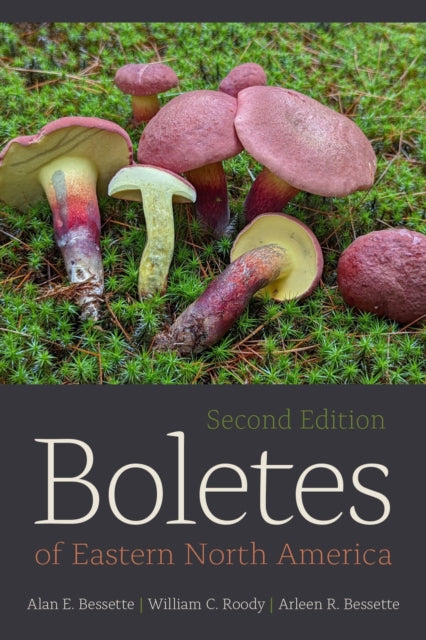 Boletes of Eastern North America