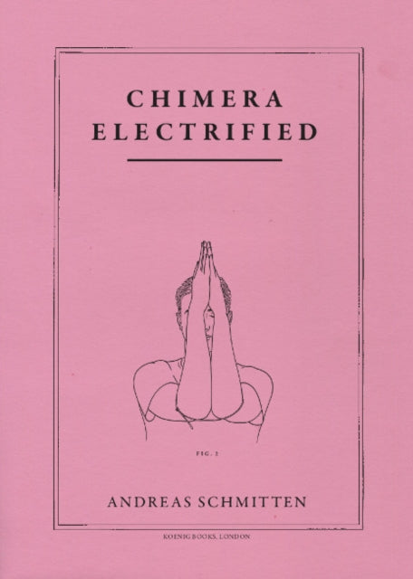 Andreas Schmitten. Chimera electrified