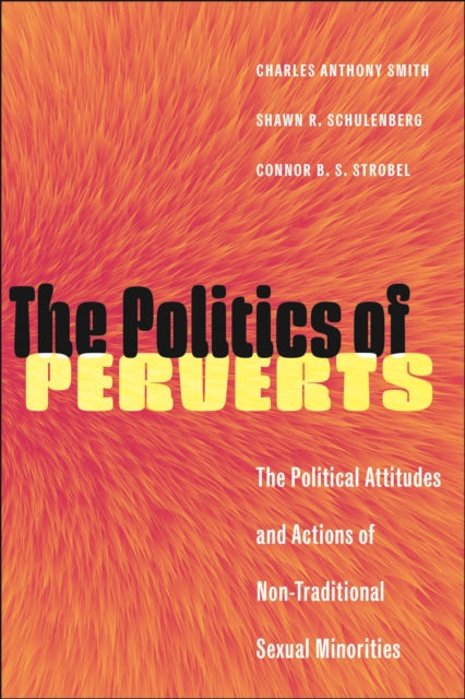 The Politics of Perverts: The Political Attitudes and Actions of Non-Traditional Sexual Minorities