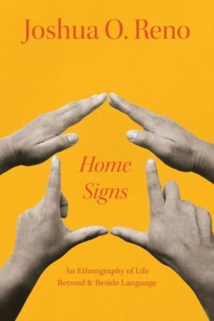 Home Signs: An Ethnography of Life beyond and beside Language