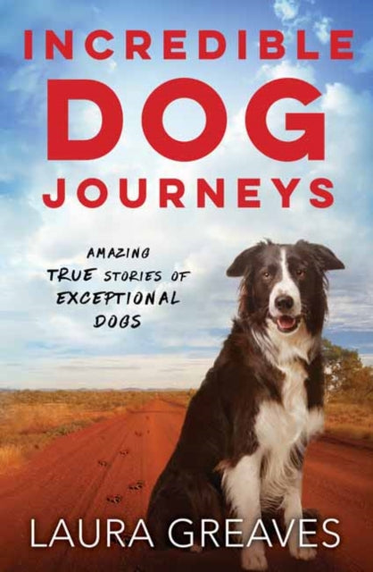 Incredible Dog Journeys: Amazing true stories of exceptional dogs