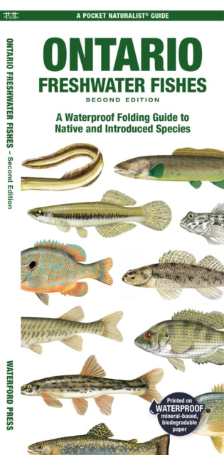 Ontario Freshwater Fishes: A Waterproof Folding Guide to Native and Introduced Species