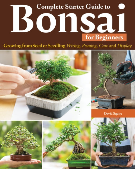 Complete Starter Guide to Bonsai: Growing from Seed or Seedling--Wiring, Pruning, Care, and Display