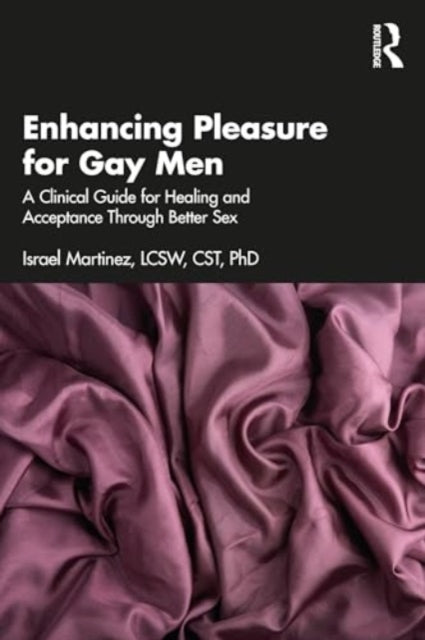 Enhancing Pleasure for Gay Men: A Clinical Guide for Healing and Acceptance Through Better Sex