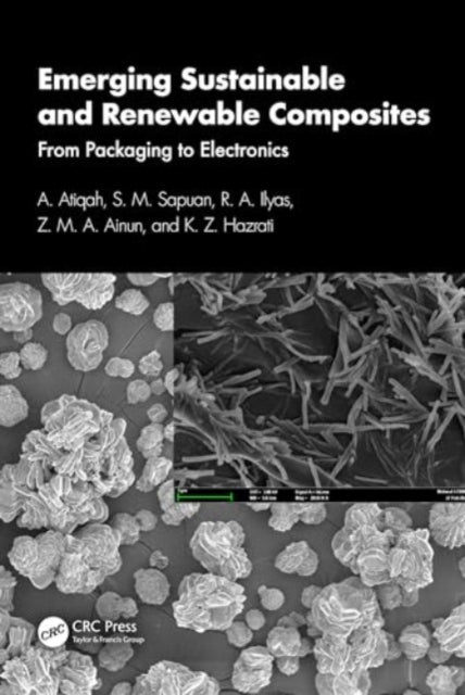 Emerging Sustainable and Renewable Composites: From Packaging to Electronics