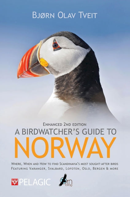 A Birdwatcher’s Guide to Norway: Where, when and how to find Scandinavia’s most sought-after birds