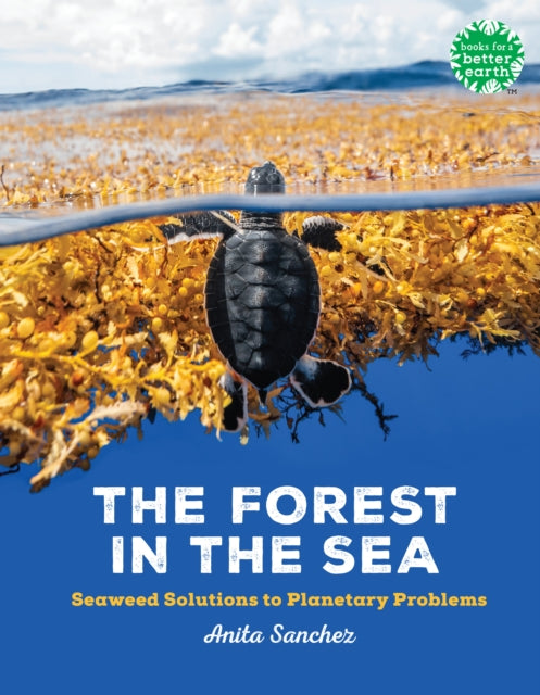 The Forest in the Sea: Seaweed Solutions to Planetary Problems