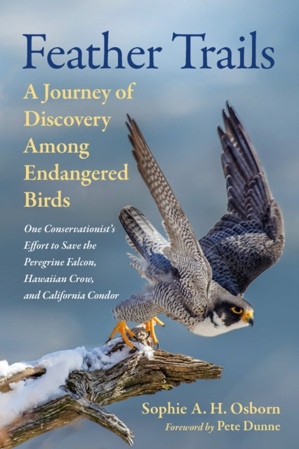 Feather Trails: A Journey of Discovery Among Endangered Birds