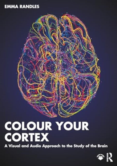 Colour Your Cortex: A Visual and Audio Approach to the Study of the Brain