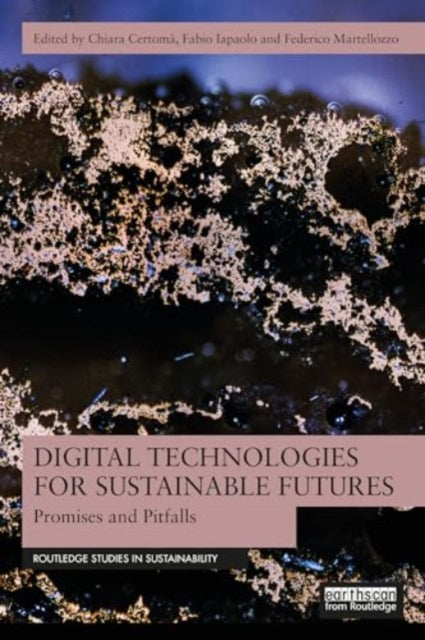 Digital Technologies for Sustainable Futures: Promises and Pitfalls