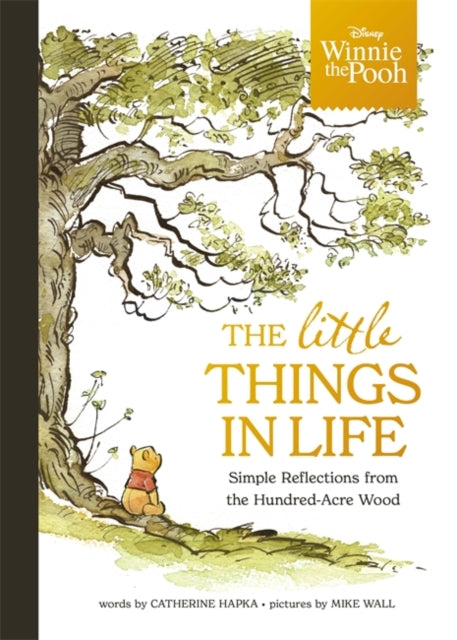 Winnie the Pooh - The Little Things in Life: Simple reflections from the Hundred-Acre Wood