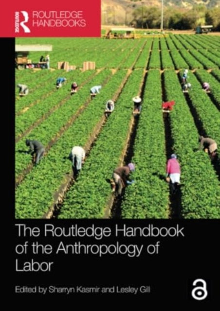 The Routledge Handbook of the Anthropology of Labor