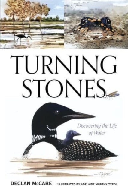 Turning Stones: Discovering the Life of Water