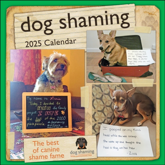 Dog Shaming 2025 Wall Calendar