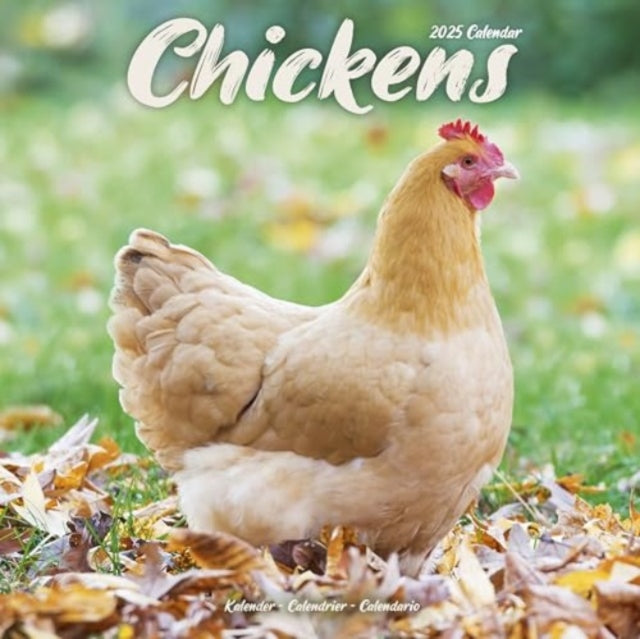 Chickens Calendar 2025 Square Farm Animals & Birds Wall Calendar - 16 Month