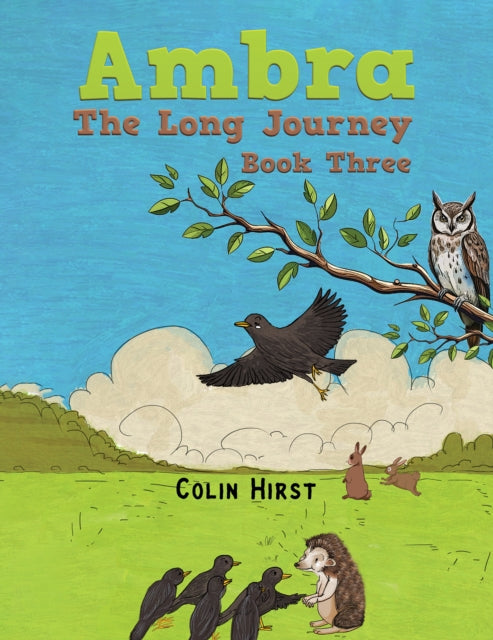 Ambra: The Long Journey: Book Three