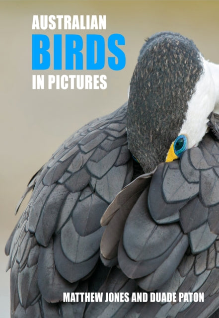 Australian Birds in Pictures: Compact edition