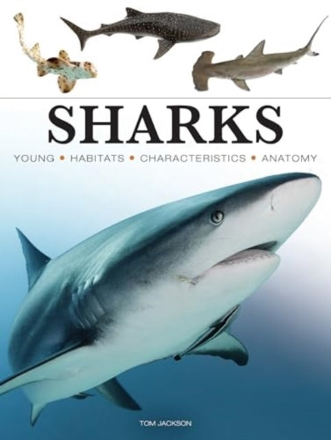 Sharks & Underwater Predators