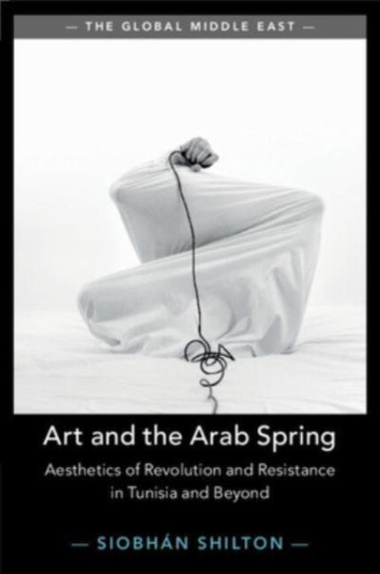 Art and the Arab Spring: Aesthetics of Revolution and Resistance in Tunisia and Beyond