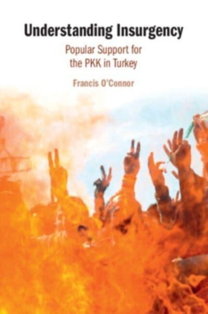 Understanding Insurgency: Popular Support for the PKK in Turkey