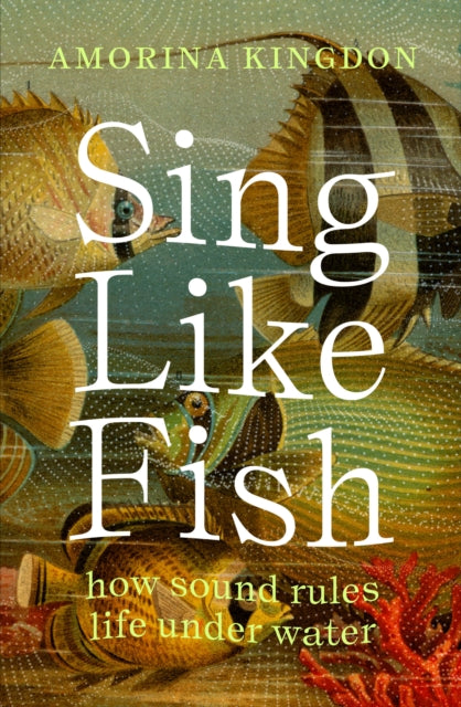 Sing Like Fish: how sound rules life under water