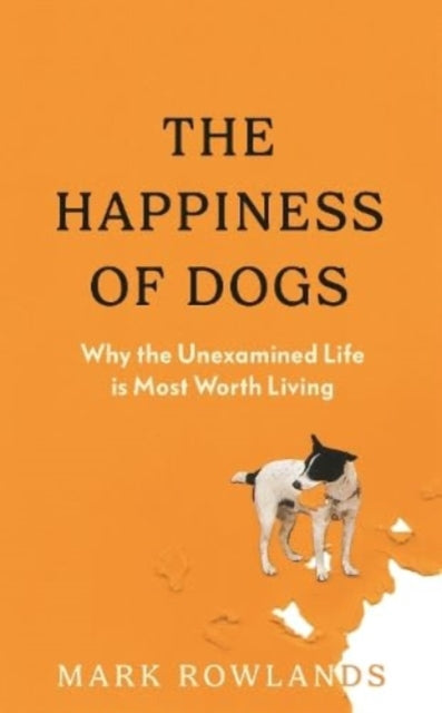 The Happiness of Dogs: Why the Unexamined Life Is Most Worth Living