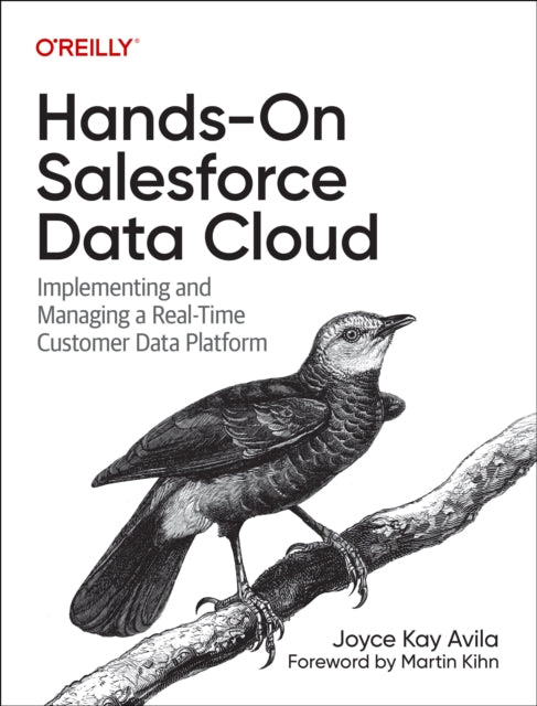 Hands-On Salesforce Data Cloud: Implementing and Managing a Real-Time Customer Data Platform