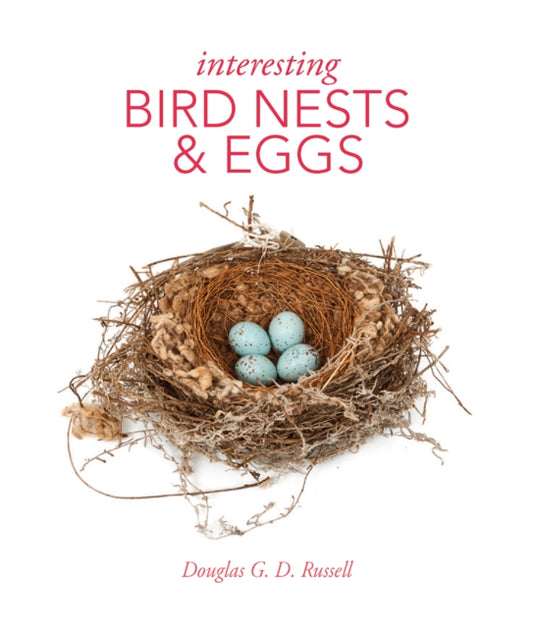 Interesting Bird Nests and Eggs