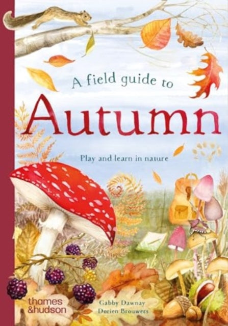 A Field Guide to Autumn: Play and learn in nature