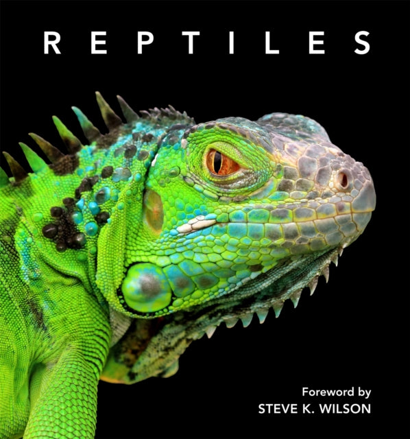 Reptiles: Deluxe Series