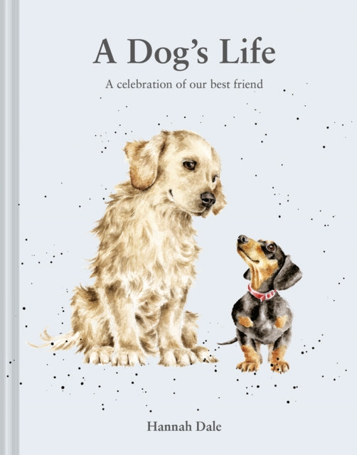 A Dog’s Life: A celebration of our best friend