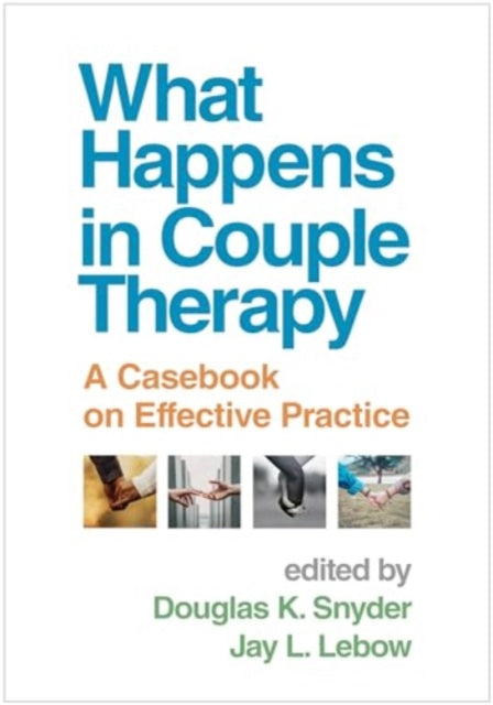 What Happens in Couple Therapy: A Casebook on Effective Practice