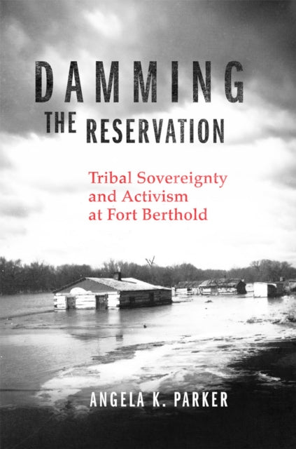 Damming the Reservation Volume 23: Tribal Sovereignty and Activism at Fort Berthold