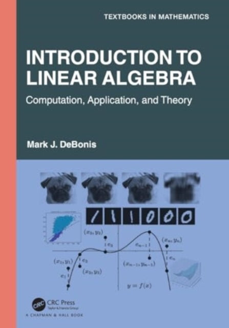 Introduction To Linear Algebra: Computation, Application, and Theory