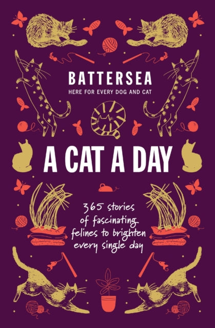 Battersea Dogs and Cats Home - A Cat a Day: 365 stories of fascinating felines to brighten every day