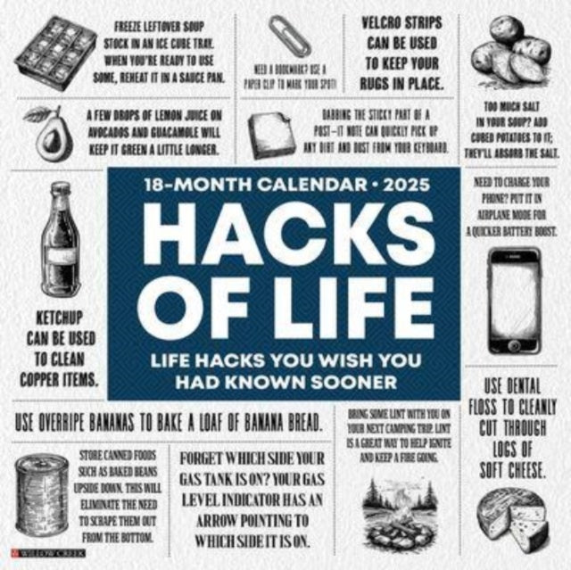 Hacks of Life 2025 12 X 12 Wall Calendar