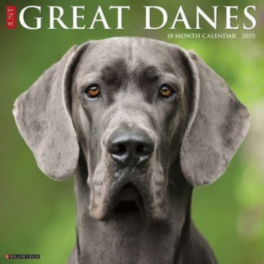 Just Great Danes 2025 12 X 12 Wall Calendar