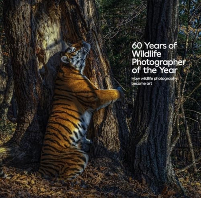 60 Years of Wildlife Photographer of the Year: How Wildlife Photography Became Art