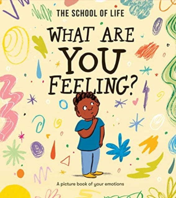 What Are You Feeling?: A picture book of your emotions