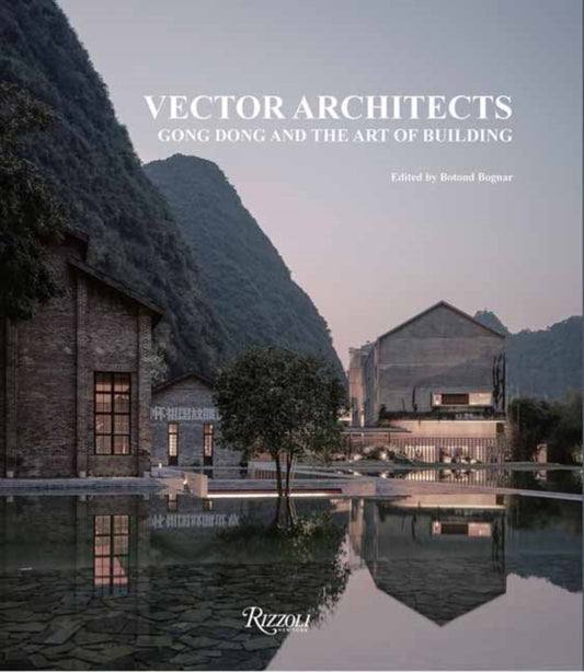 Vector Architects: Gong Dong and the Art of Building