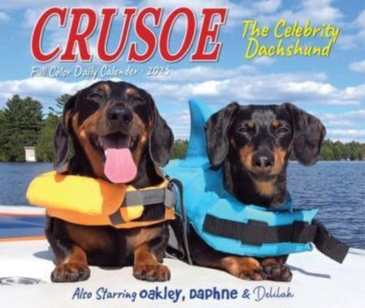 Crusoe the Celebrity Dachshund 2025 6.2 X 5.4 Box Calendar