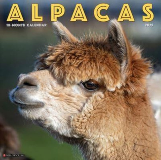 Alpacas 2025 12 X 12 Wall Calendar