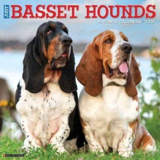 Just Basset Hounds 2025 12 X 12 Wall Calendar