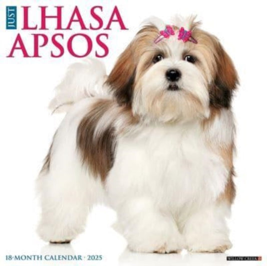 Just Lhasa Apsos 2025 12 X 12 Wall Calendar