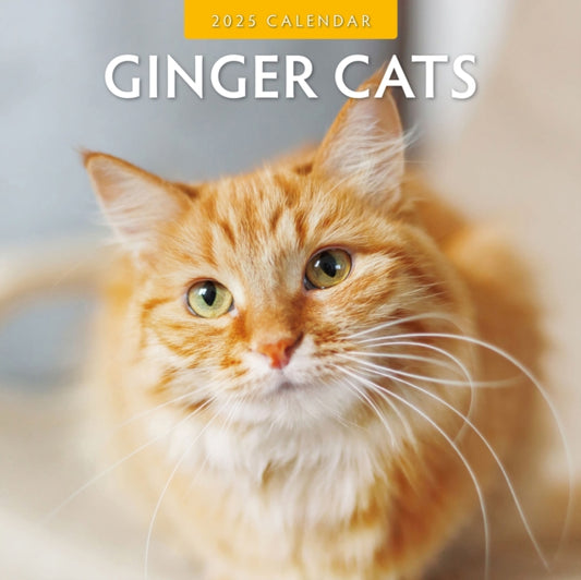 Ginger Cats 2025 Square Wall Calendar