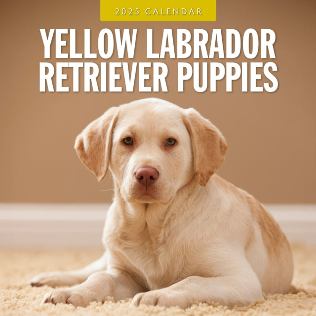 Yellow Labrador Retriever Puppies 2025 Square Wall Calendar