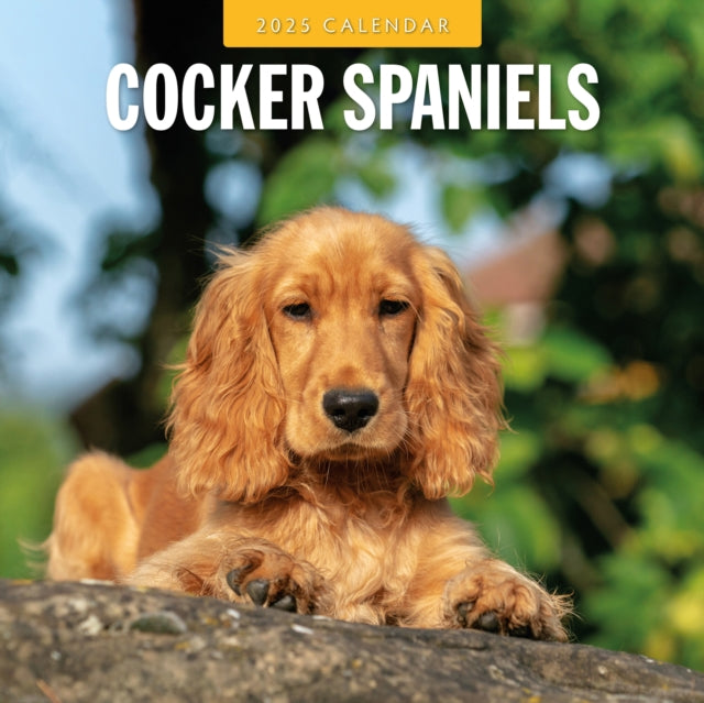 Cocker Spaniels 2025 Square Wall Calendar