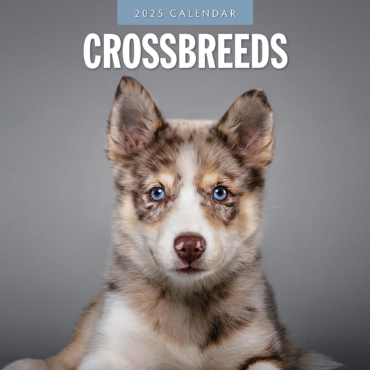 Crossbreeds 2025 Square Wall Calendar