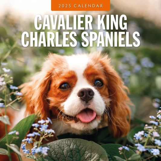 Cavalier King Charles Spaniel 2025 Square Wall Calendar